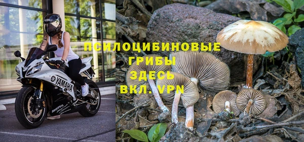 амфетамин Осинники